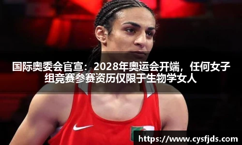 6T体育世界杯直播